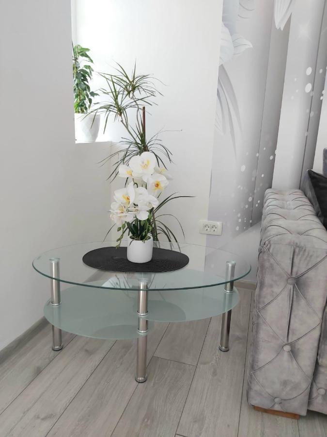 Apartment Marina 2 코토르 외부 사진