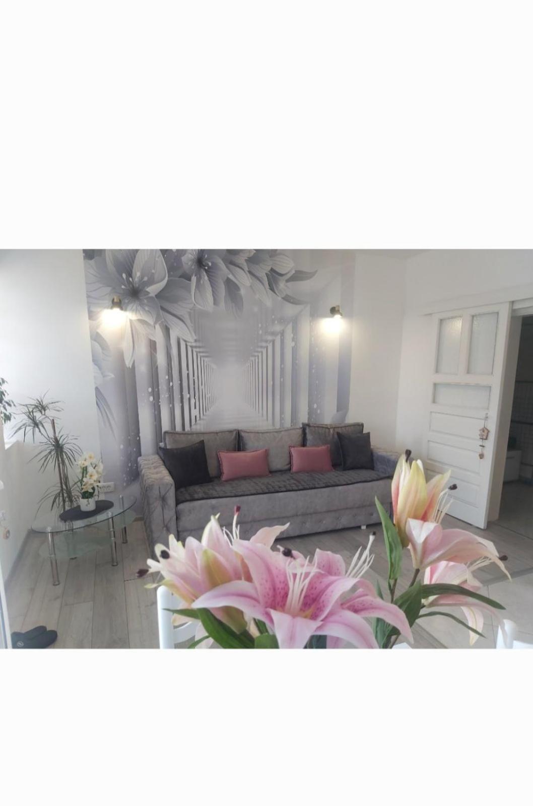 Apartment Marina 2 코토르 외부 사진